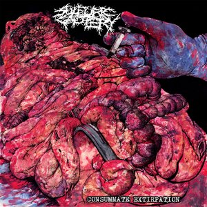 Image for 'CONSUMMATE EXTIRPATION'