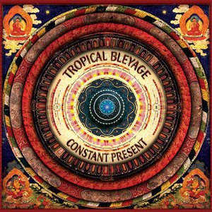 Image for 'Constant Present'