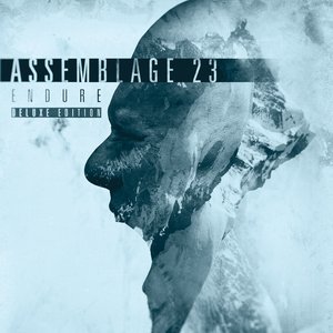 Image for 'Endure (Deluxe Edition)'