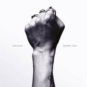 Image for 'Adore Life'