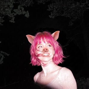 'novo lar'の画像