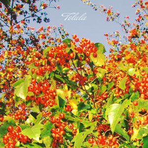 Image for 'Telula'