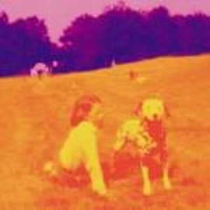 Image for 'Blinking Lights and Other Revelations Disc 1'