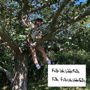 Image for 'Falls like Water Falls'