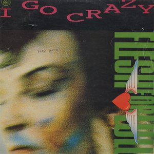 Image for 'I Go Crazy'
