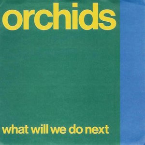 Bild für 'What Will We Do Next? (7")'