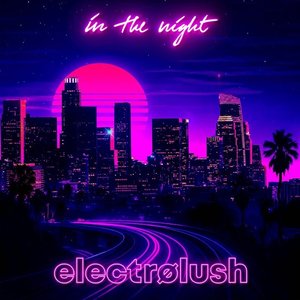 Image for 'In The Night'