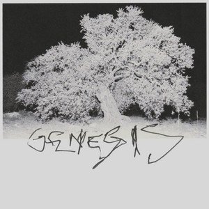Image pour 'GENESIS'