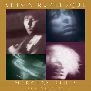 Image for 'Mercury Blues + Skulduggery'