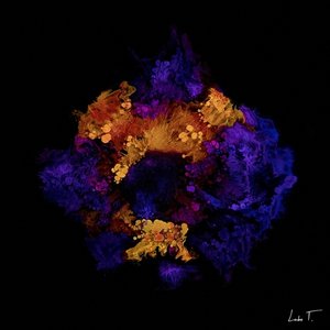 Image pour 'Infinity'