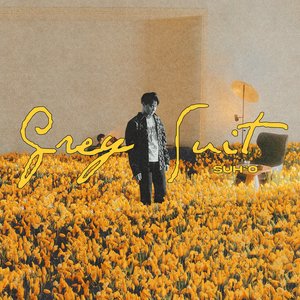 Image pour 'Grey Suit - The 2nd Mini Album'