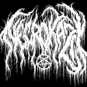 Immagine per 'NECROKAZII'