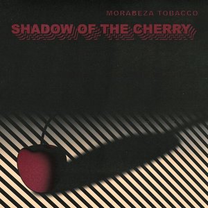 Bild für 'Shadow of the Cherry'
