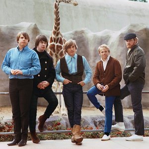 'The Beach Boys' için resim
