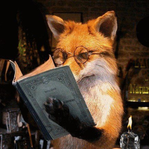 Cinnamon_Fox