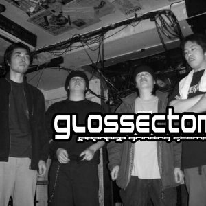 Image for 'Glossectomy'