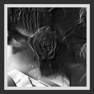 Image for 'Mind Abandon'