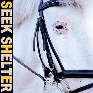 Image for 'Seek Shelter'