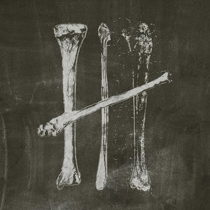 Image for 'Кости'
