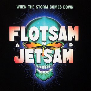 Bild für 'When The Storm Comes Down (Japan Edition)'