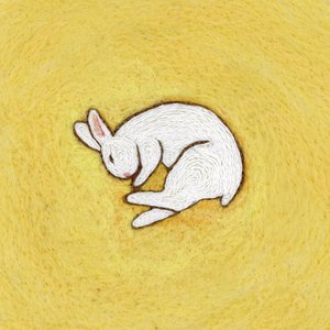 Image for 'death of a rabbit'