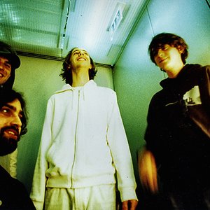 Zdjęcia dla 'Animal Collective'