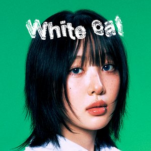 Image for 'White cat'