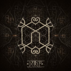 'Drif'の画像
