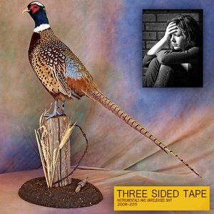 Image for 'Three Sided Tape Vol. 2'