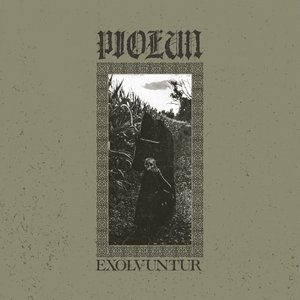 Image for 'Exolvuntur'