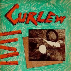 Image for 'Curlew'