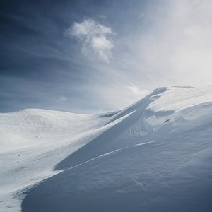 Image for 'Transients I'