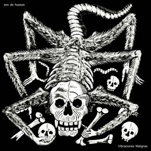 Image for 'Vibraciones Malignas'