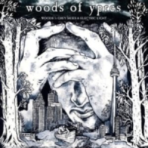 Image for 'Woods 5: Grey Skies & Electric Light [PROMO]'