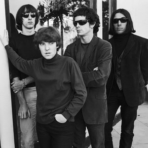 Image for 'The Velvet Underground'