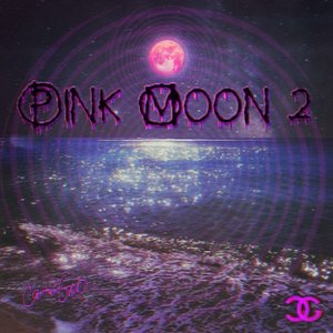 Image for 'Pink Moon II'