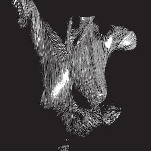 Image for 'Self Preserved While The Bodies Float Up'
