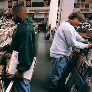 Image for 'Endtroducing.....'