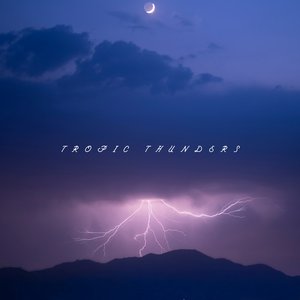 Immagine per 'Tropic Thunders'