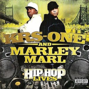 Image for 'Hip Hop Lives'