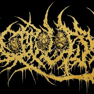 Image for 'Coagolopsy'