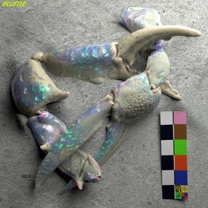 Image pour 'Let You Know'
