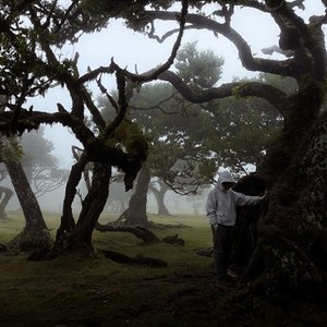 Image for 'Harmony Tales'
