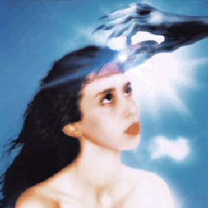 'Imaginal Disk'の画像