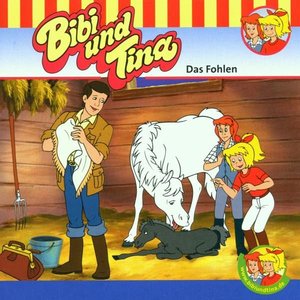 Image for 'Folge 1: Das Fohlen'