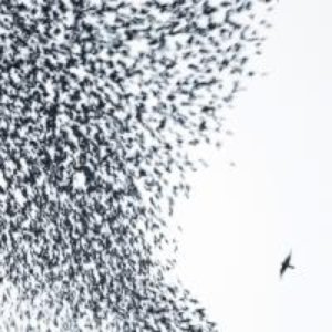 Bild für 'Sky Blue Sky (Bonus Track Version)'