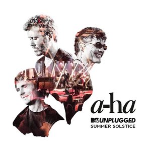 Image for 'MTV Unplugged (Summer Solstice)'