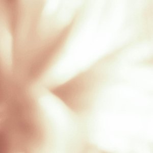 Image for 'separate from the noise (side b)'
