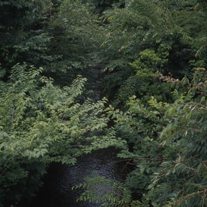 Image for 'Swallowed From Within'