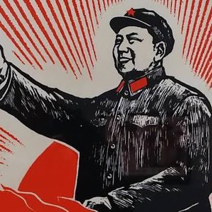 Image for 'Social Cred'